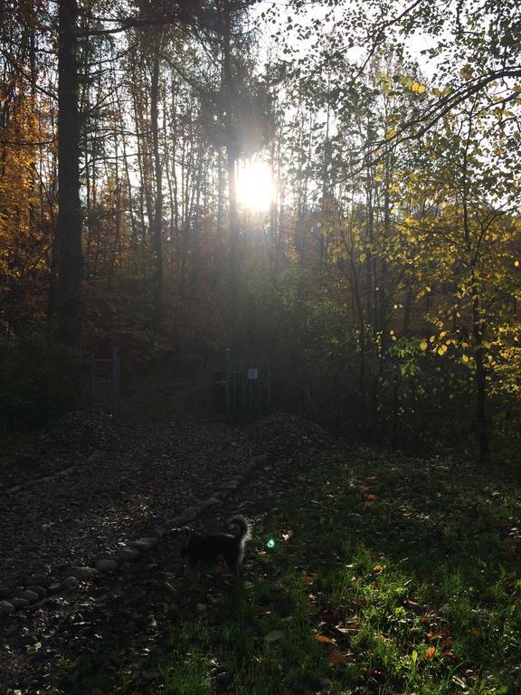 Dom Nad Jeziorem Gwiazda Wojcin  Bagian luar foto